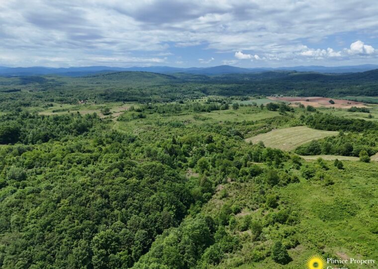 Ampio terreno edificabile e agricolo, fuori rete e immerso nella natura