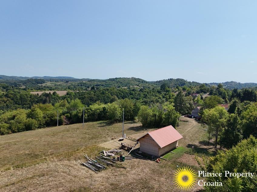 dji_fly_20260807_150800_0344_1786430955918_photo