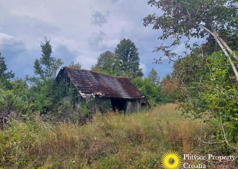 Large Landholding with Building Zone and Forest in Suhodol Budački