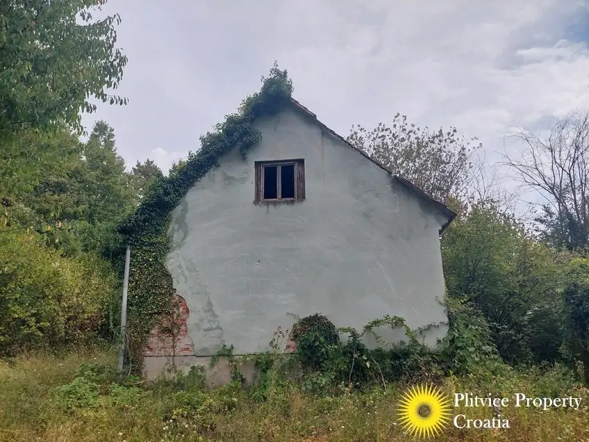 20260821_120429
