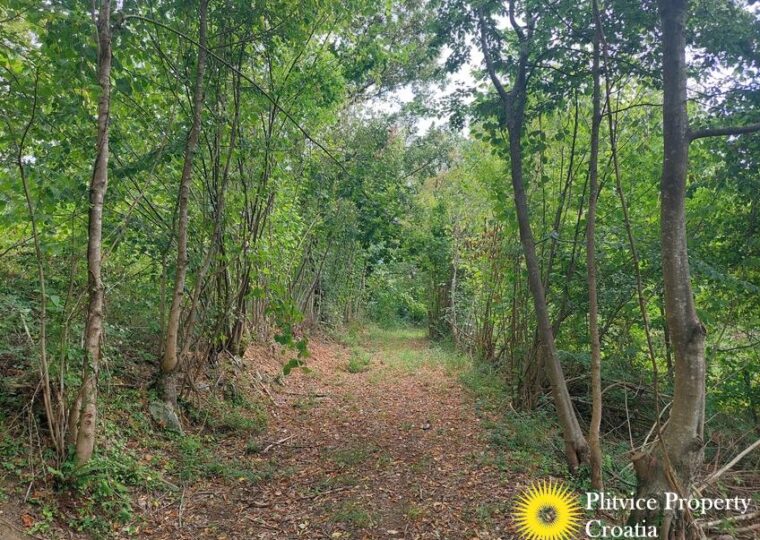 Large Landholding with Building Zone and Forest in Suhodol Budački