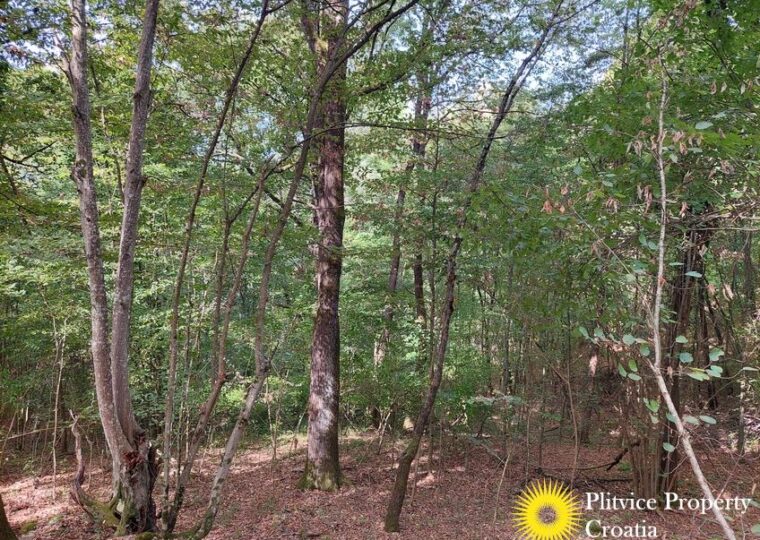 L057 photo 2