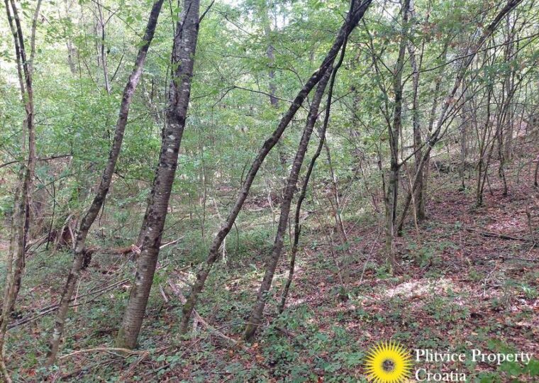 L057 photo 4