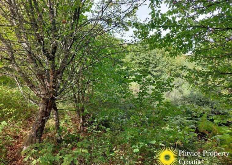L057 photo 7