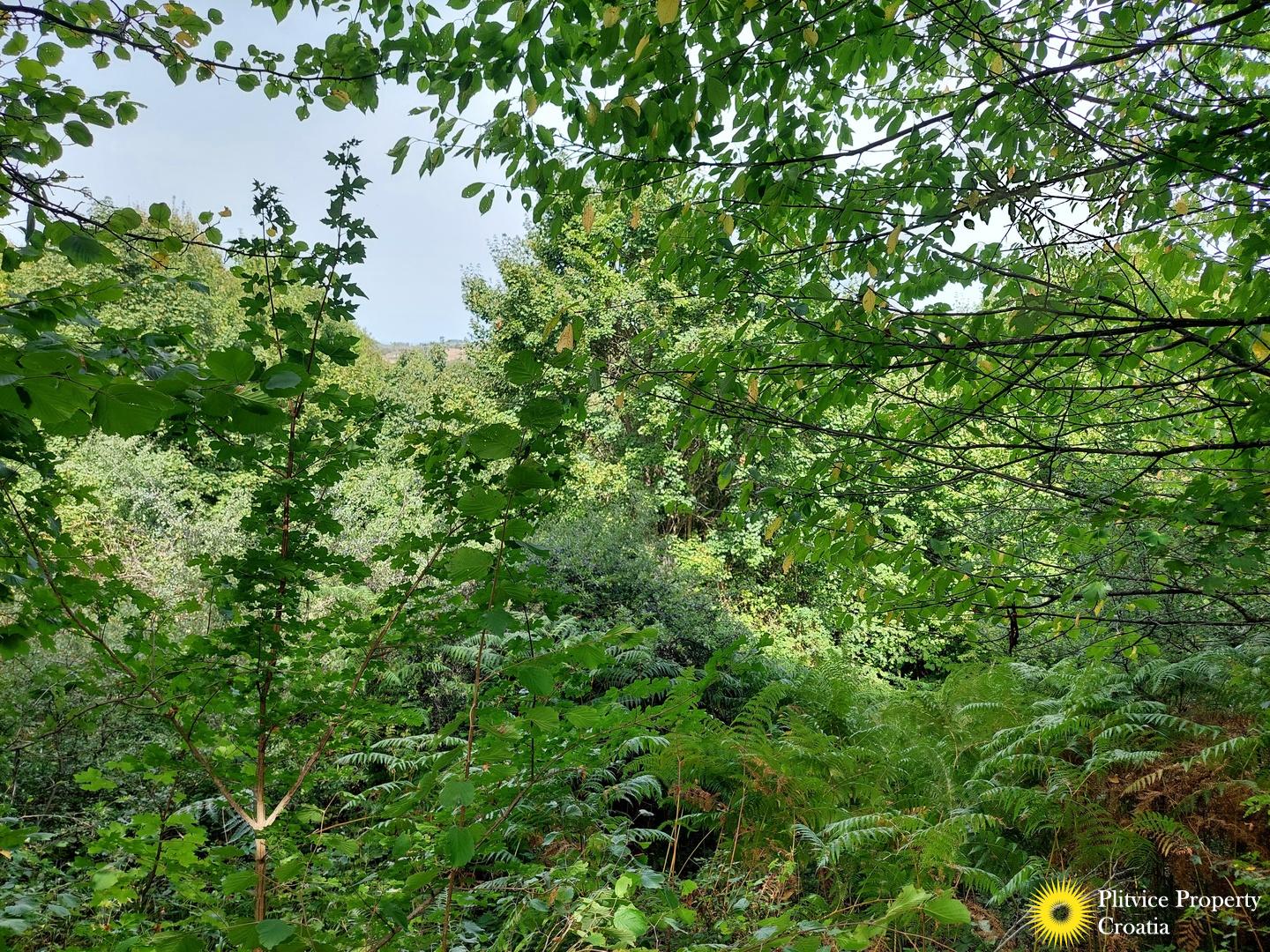 L057 photo 1