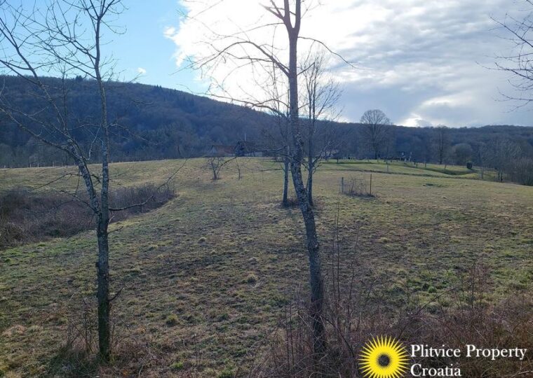 C032 photo 31