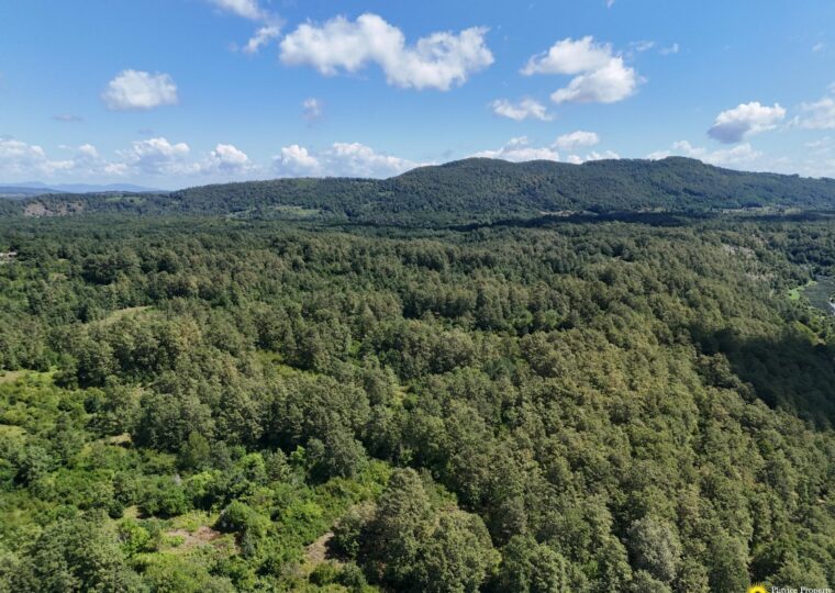 Exceptional Agricultural Estate Above the Korana River Canyon
