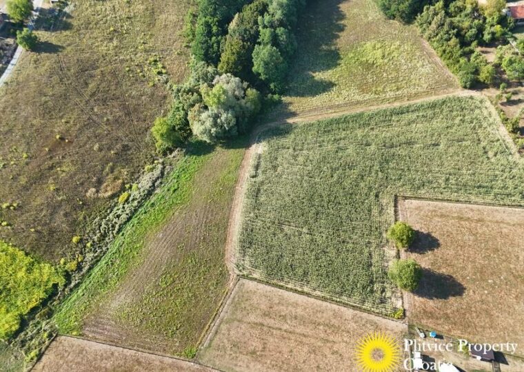 Family Estate with 29,618 m² of Land in Široka Rijeka