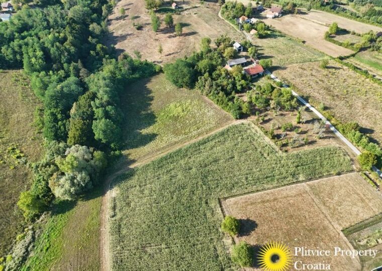 Family Estate with 29,618 m² of Land in Široka Rijeka