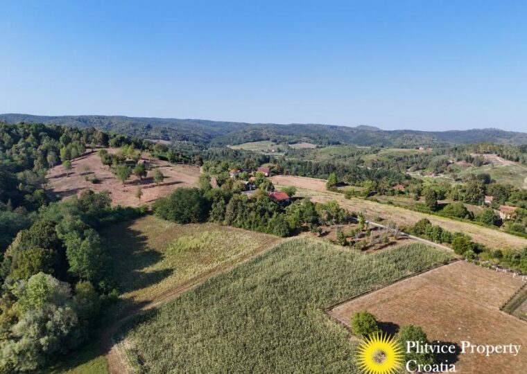 Family Estate with 29,618 m² of Land in Široka Rijeka