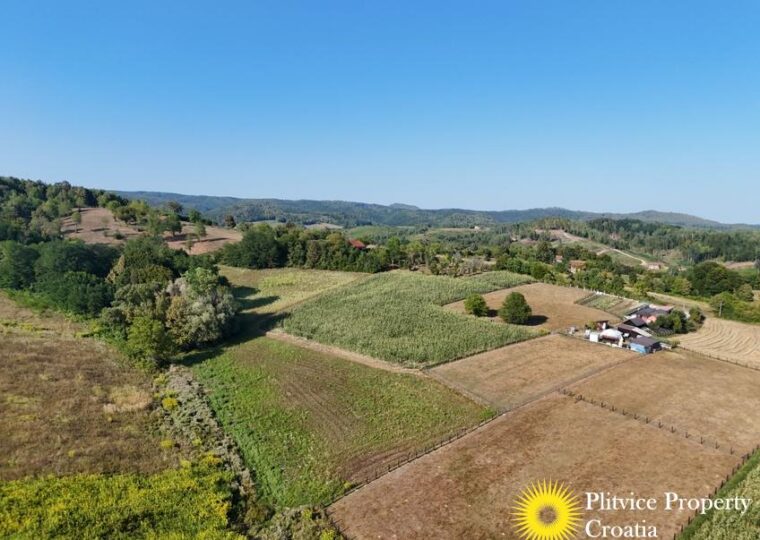 Family Estate with 29,618 m² of Land in Široka Rijeka