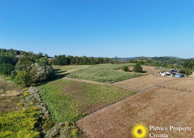 Family Estate with 29,618 m² of Land in Široka Rijeka