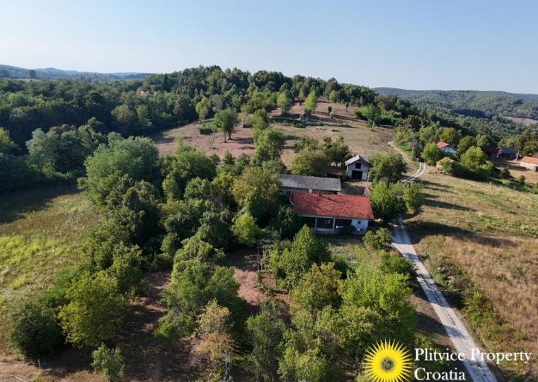 Family Estate with 29,618 m² of Land in Široka Rijeka