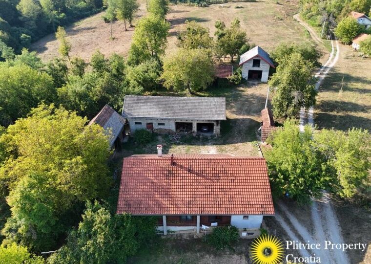 Family Estate with 29,618 m² of Land in Široka Rijeka