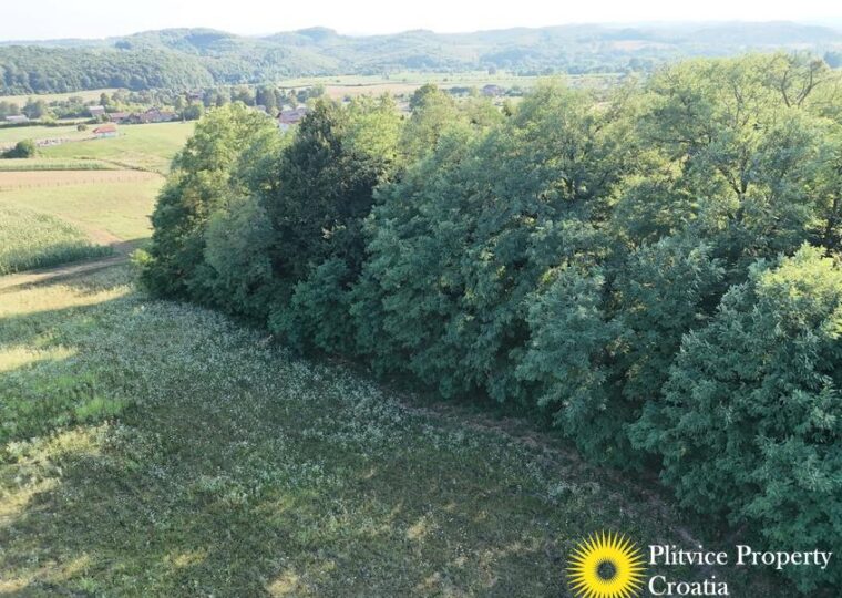 Family Estate with 29,618 m² of Land in Široka Rijeka