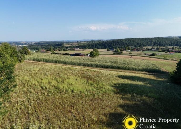 Family Estate with 29,618 m² of Land in Široka Rijeka