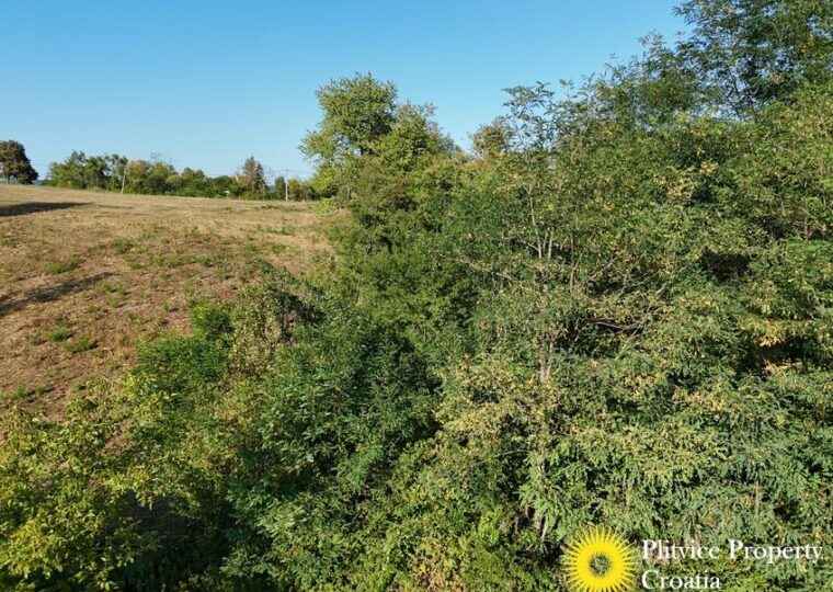 Family Estate with 29,618 m² of Land in Široka Rijeka