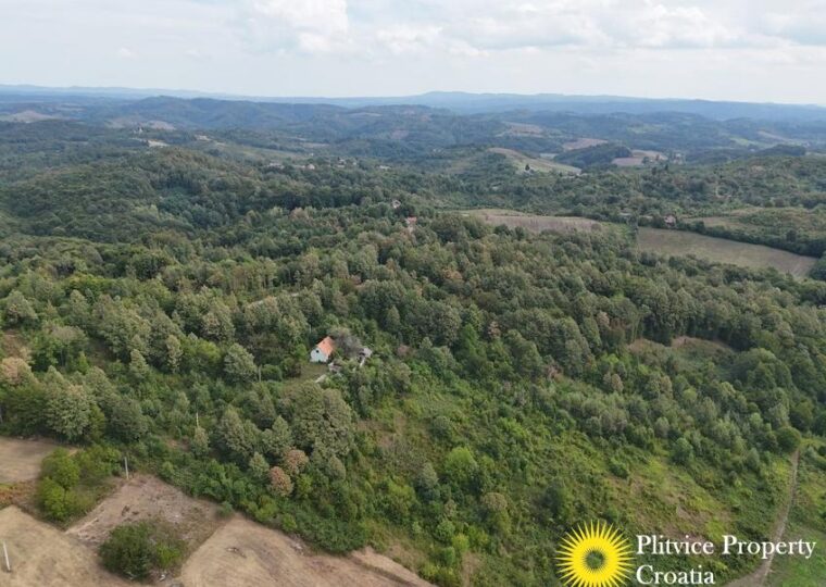 Large Landholding with Building Zone and Forest in Suhodol Budački