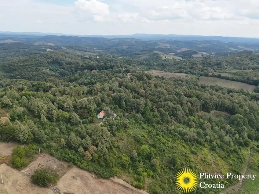 dji_fly_20260821_120232_0355_1787570332164_photo