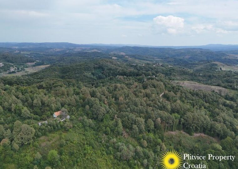 Large Landholding with Building Zone and Forest in Suhodol Budački
