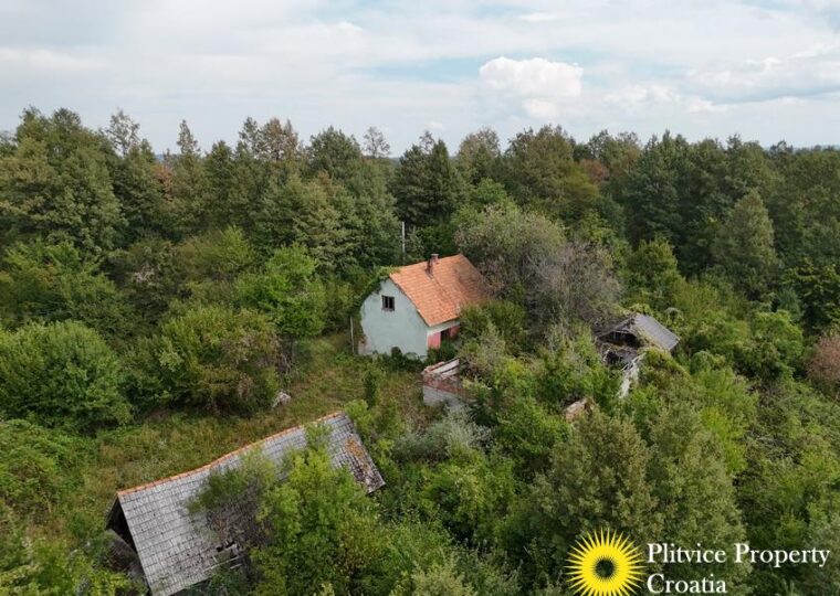 Large Landholding with Building Zone and Forest in Suhodol Budački
