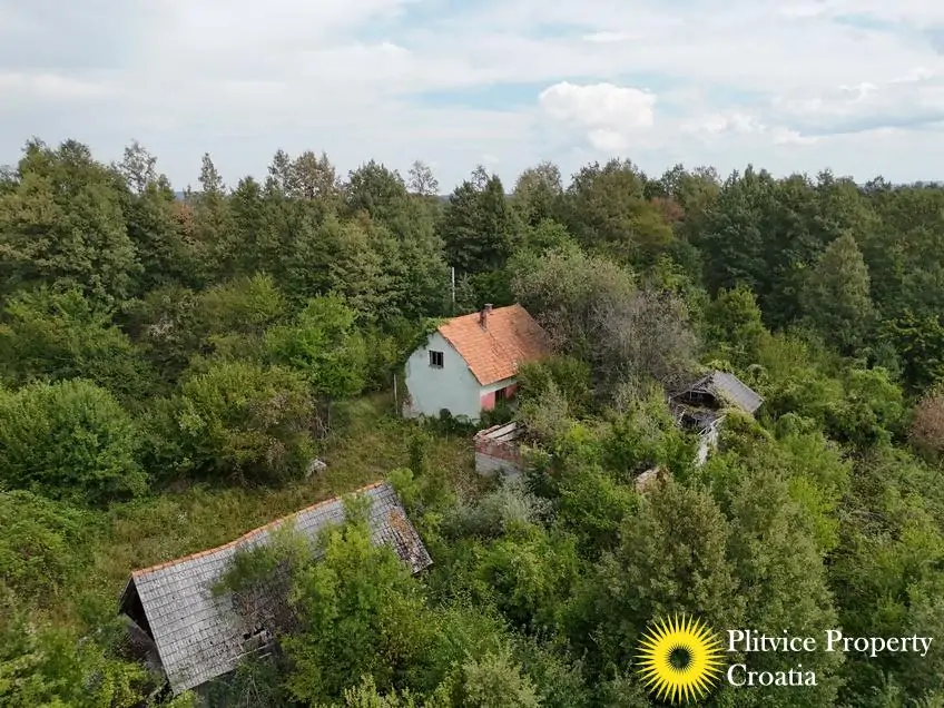 dji_fly_20260821_120328_0357_1787570331191_photo