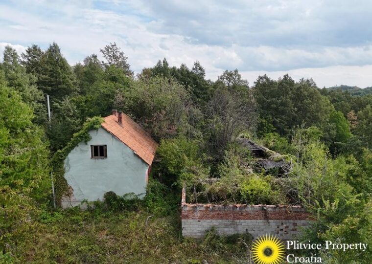 Large Landholding with Building Zone and Forest in Suhodol Budački