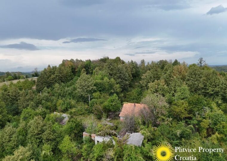 Large Landholding with Building Zone and Forest in Suhodol Budački