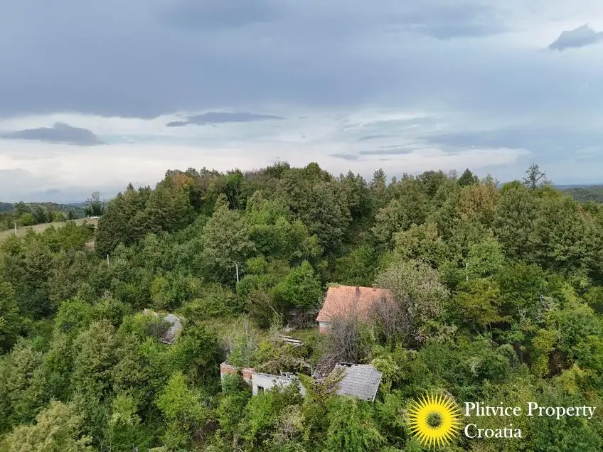 dji_fly_20260821_120456_0361_1787570328913_photo