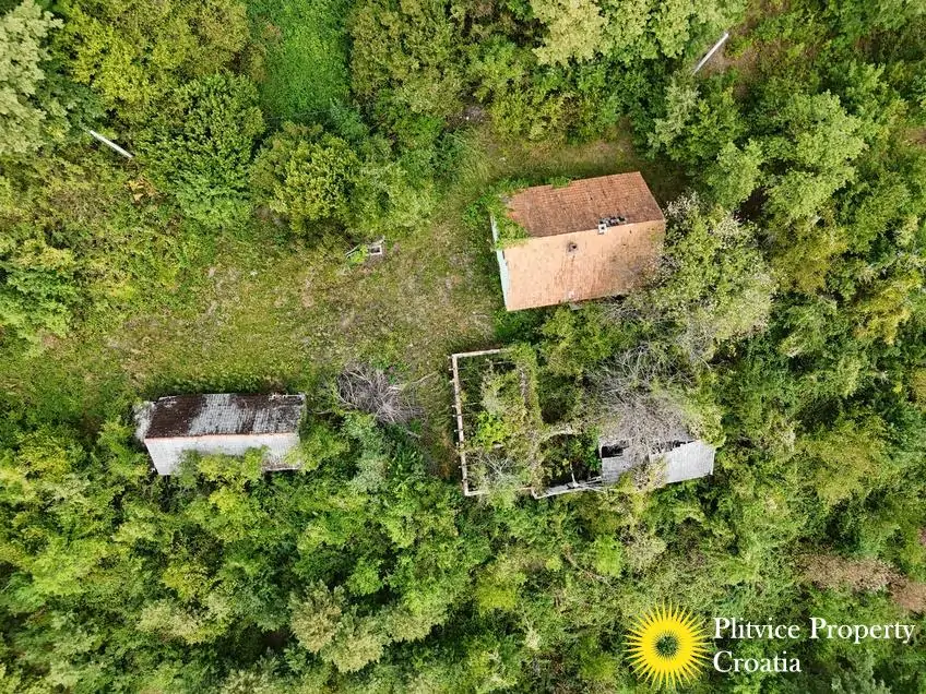 dji_fly_20260821_120520_0362_1787570328335_photo