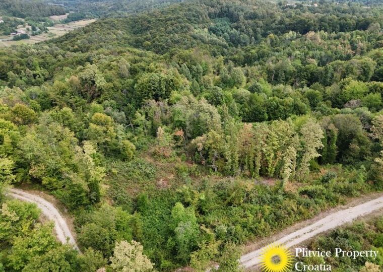 Large Landholding with Building Zone and Forest in Suhodol Budački