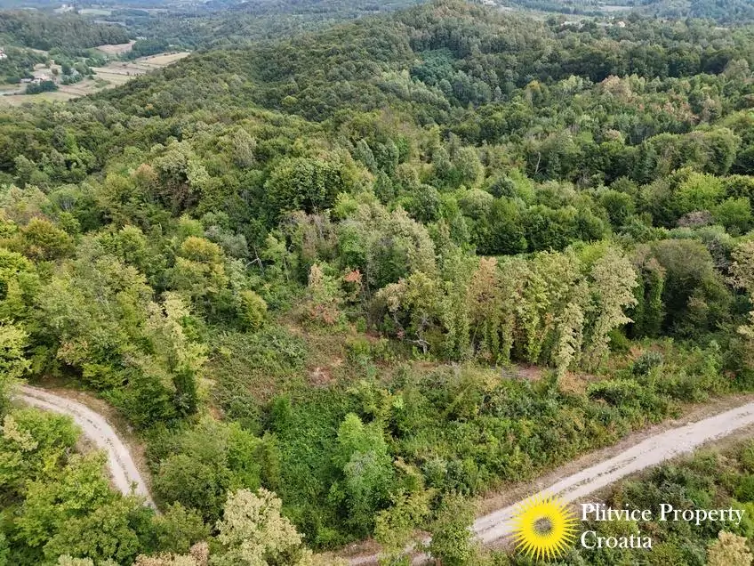 dji_fly_20260821_120554_0364_1787570326971_photo