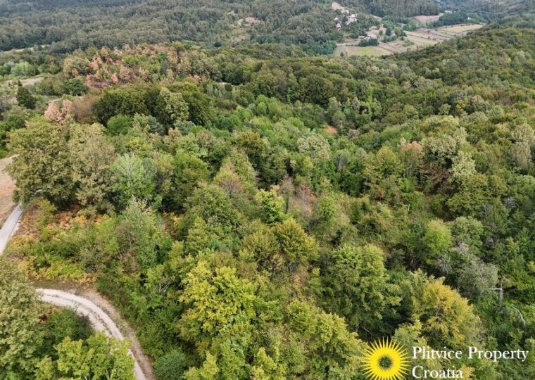 Large Landholding with Building Zone and Forest in Suhodol Budački