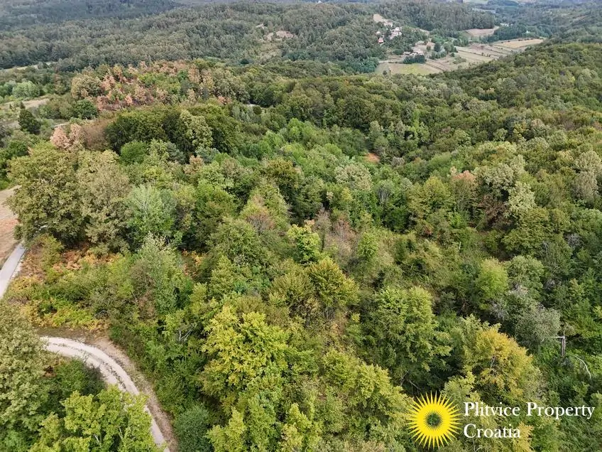dji_fly_20260821_120608_0365_1787570326294_photo
