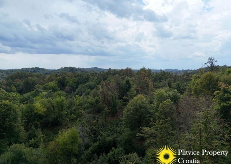 Large Landholding with Building Zone and Forest in Suhodol Budački
