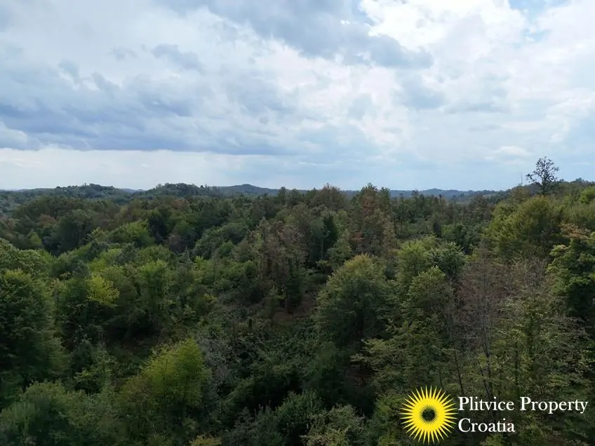 dji_fly_20260821_120630_0366_1787570325547_photo