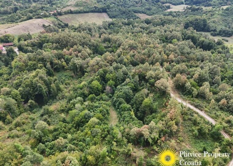 Large Landholding with Building Zone and Forest in Suhodol Budački