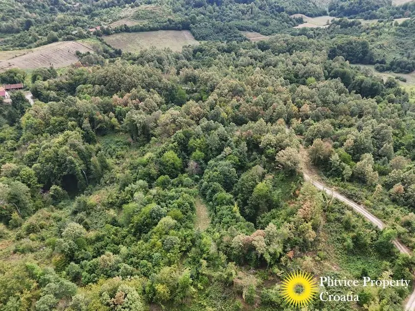 dji_fly_20260821_120702_0367_1787570325159_photo