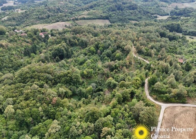 Large Landholding with Building Zone and Forest in Suhodol Budački