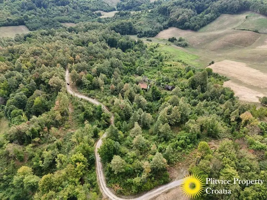 dji_fly_20260821_120756_0369_1787570323933_photo