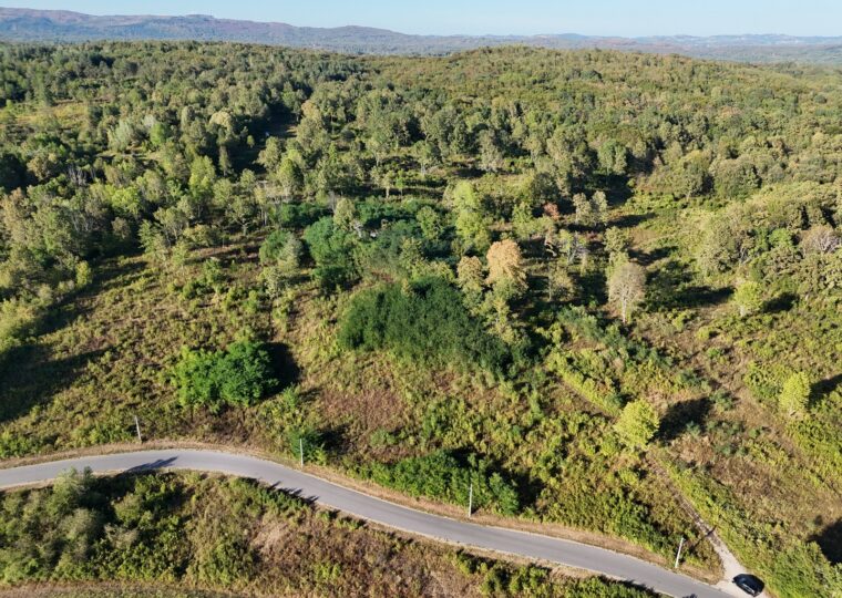Large Landholding with Building Zone in Grabovac